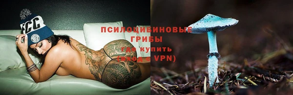 не бодяженный Алзамай