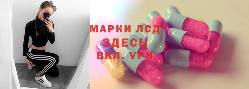 Лсд 25 экстази ecstasy  купить закладку  Лесной 