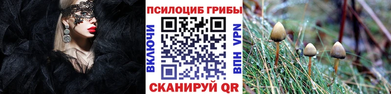 Псилоцибиновые грибы Magic Shrooms  Лесной 
