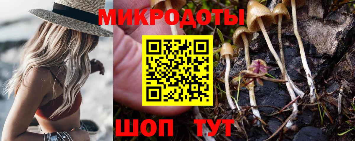 Лесной  Галлюциногенные грибы Cubensis  Вход с VPN 