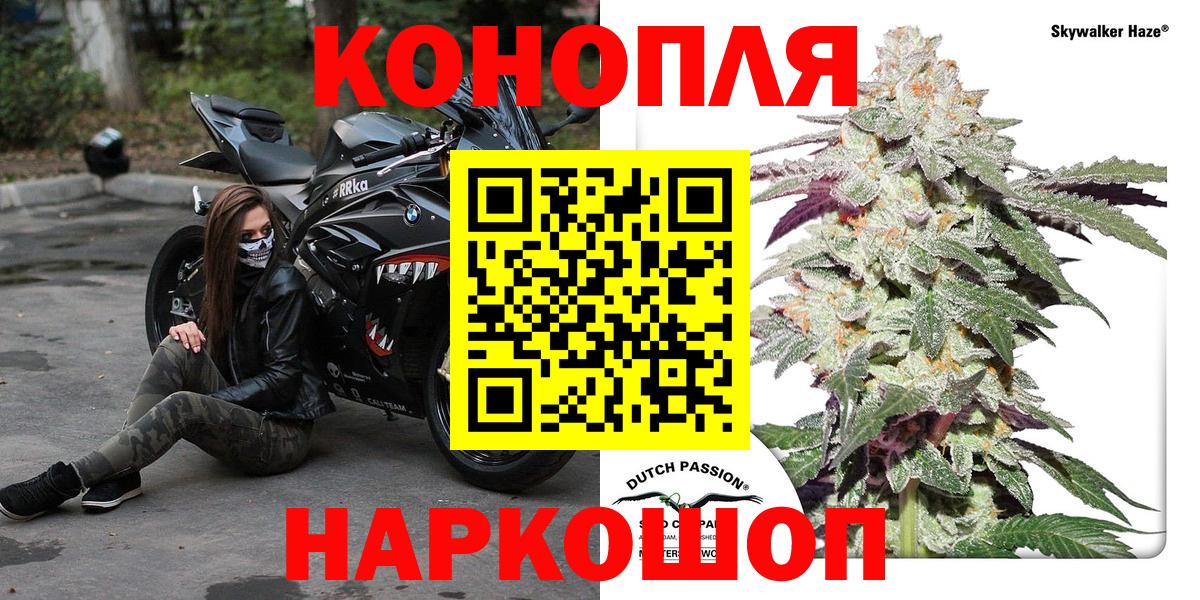 Канабис планчик  Вход с VPN  Каннабис планчик  Бошки Шишки VHQ  Лесной 